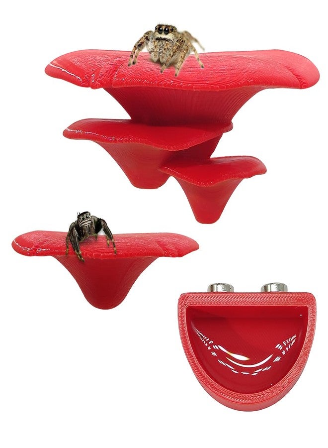 Julang Jumping Spider Enclosure Accessories, 3 Pack Mushroom Shelf & Water Bowl with Magnets, Jumping Spider Climbing Platforms Habitat Decorate Accessories (Red) - Image 1